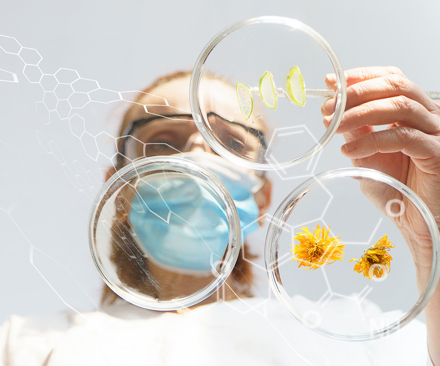 Safe ingredients and formulas